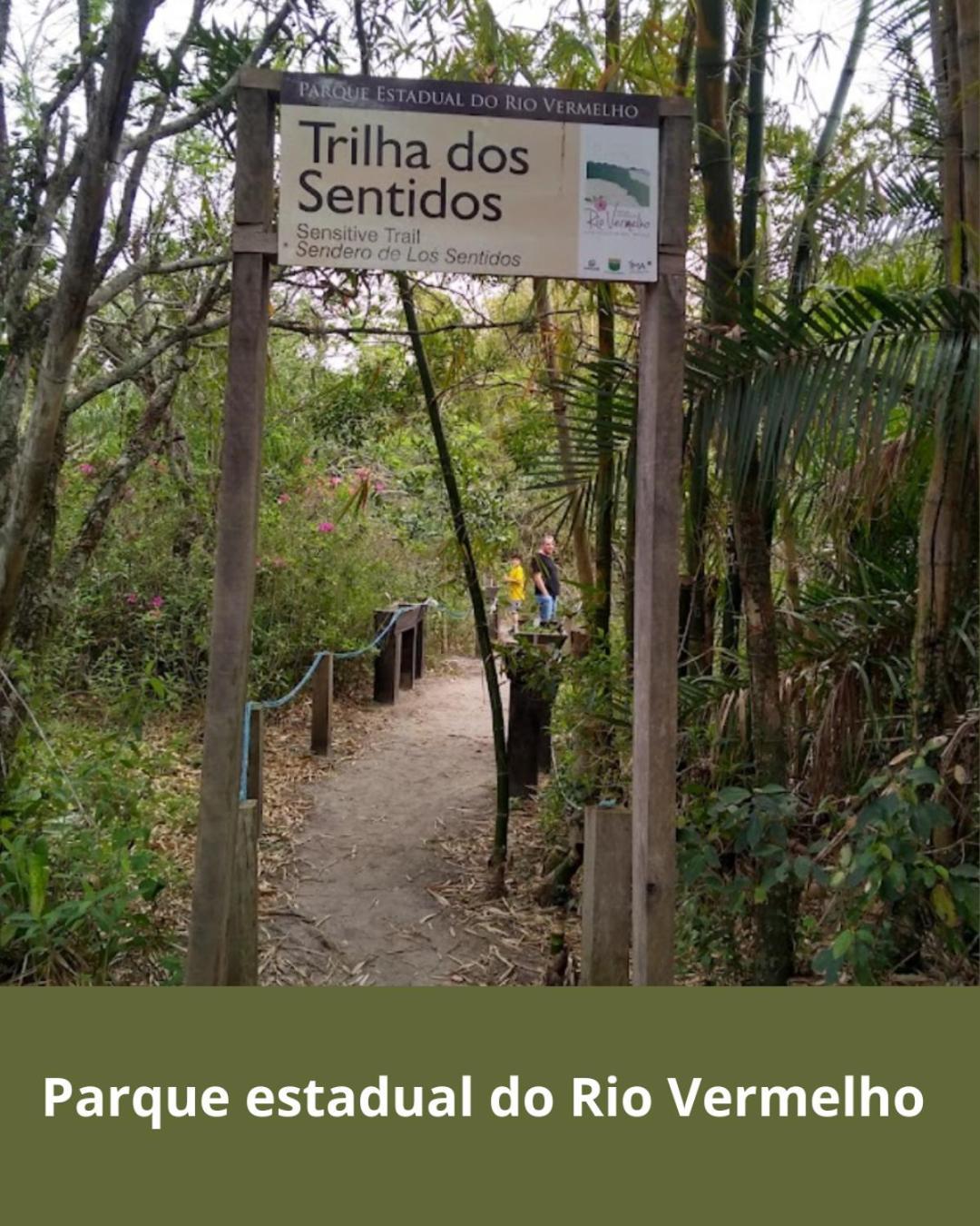 Townhousefloripa I Praia Do Mocambique Riovermelho Флорианополис Экстерьер фото